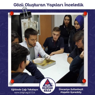 Gözü Oluşturan Yapıları İnceledik